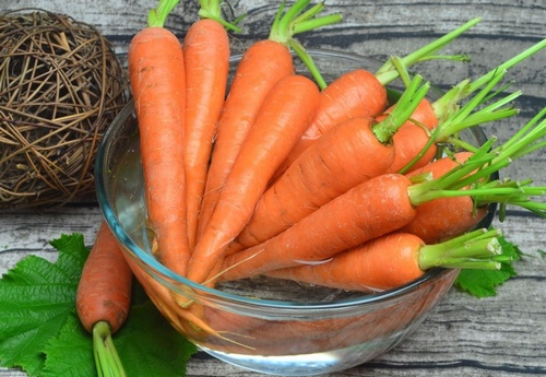 Заготавливаем морковь на зиму - изображение